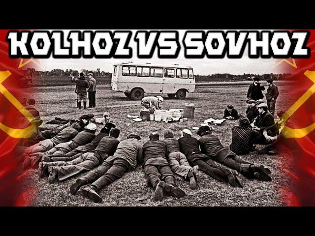 Soviet Collective Farming. The Difference Between Kolkhoz And Sovkhoz Explained