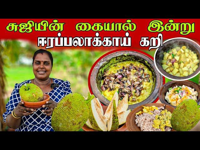 ஈரப்பலாக்காய் கறி இப்படி வையுங்க | Our Village cooking | vanni vlog