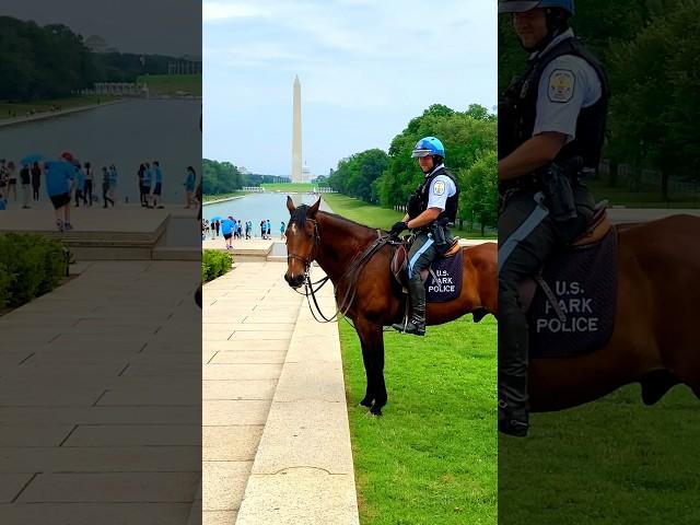 Must-See Spots in America Revealed! Walking Tour