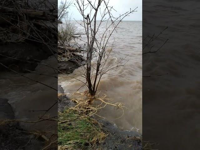 Полноводное Цимлянское водохранилище, Волгодонск