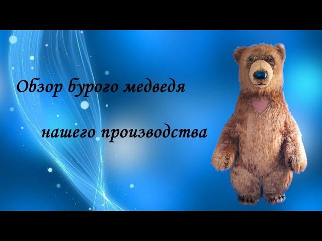 Полный обзор бурого медведя #бурыймедведь #бурыймишка #костюммедведя