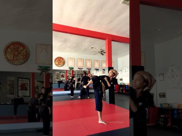 Side Kick Study and Exploration. Also, did you VOTE today. 🫡🩵 #MartialArts #Shorts #Kicks #Kenpo