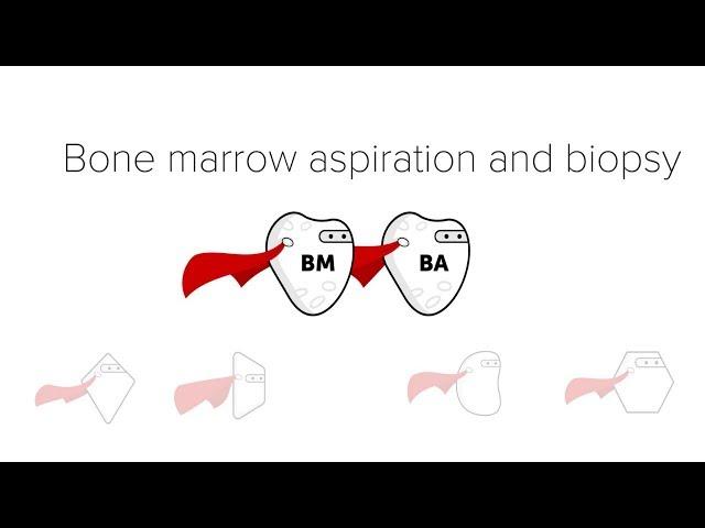 Bone Marrow Biopsy & Aspiration (BMBx)