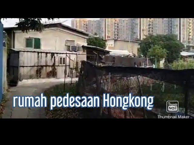 aktivitas sore tkw Hongkong ⁉️jalan melintasi gang sempit di pedesaan