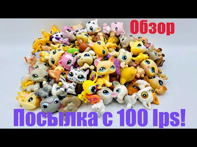 LPS: ПОСЫЛКА С 100 LPS!  (Обзор #1)