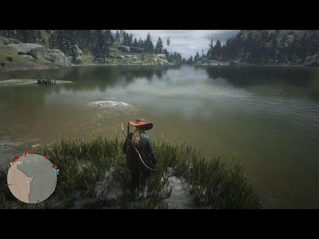 Red Dead Online/5 Common Bulrush picked- Daily Challenges