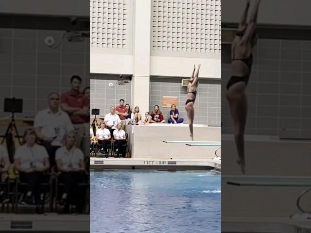 203b 1m Haley Hernandez NCAA diving final 2023