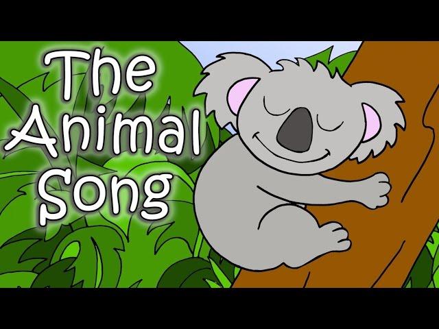 The Animal Song