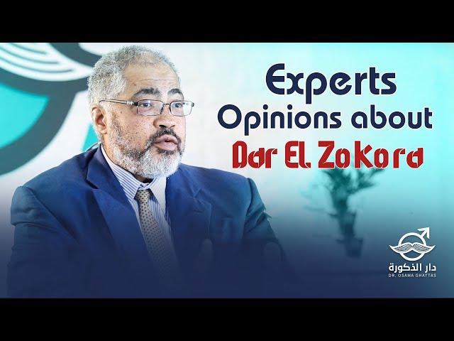 Experts Opinion about Dar El Zokora