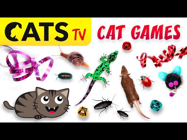 CAT GAMES 🪳 Ultimate CATS TV Compilation 20 in 1  4K 60 FPS [5 HOURS]