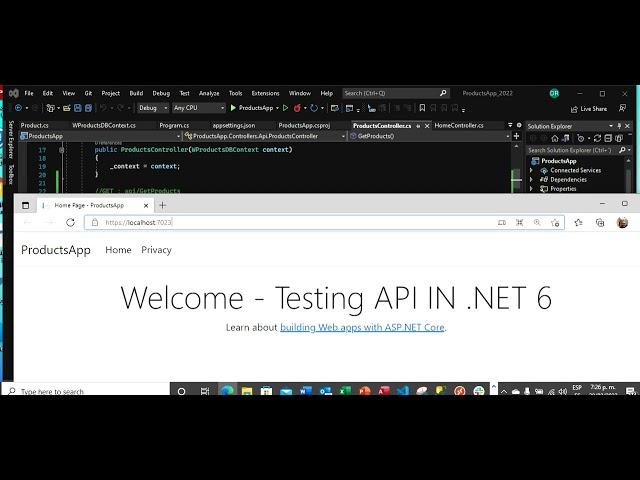 API Get Request in .Net6