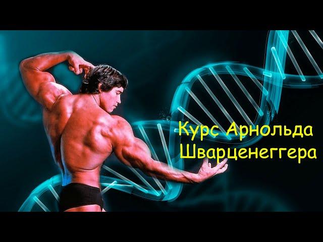 Курс стероидов Арнольда Шварценеггера