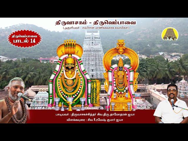 திருவெம்பாவை (பாடல்  14) - "காதார் குழைஆடப் " | திருவாசகம்  | சிவ.தாமோதரன் ஐயா | ரமேஷ்குமார் ஐயா