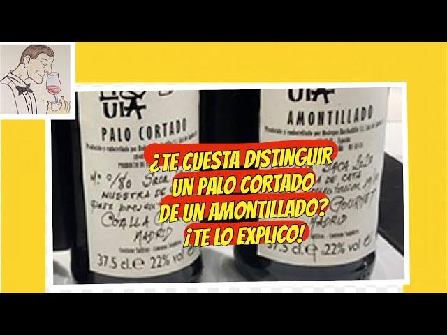 (310) ¿COMO DISTINGUIR UN PALO CORTADO DE UN AMONTILLADO? ¡TE LO EXPLICO!