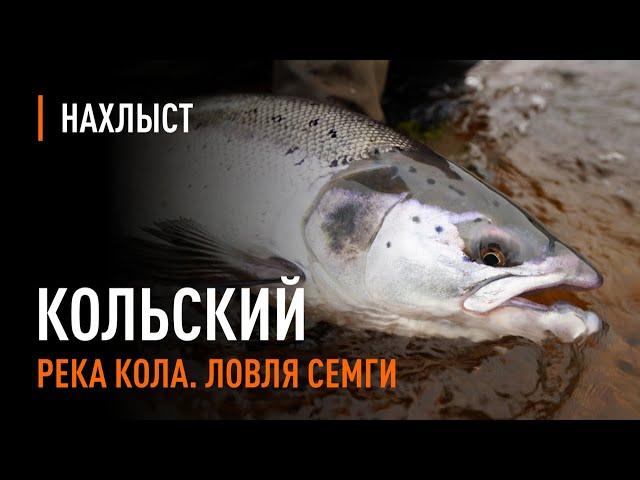 Ловля СЕМГИ в середине сезона, река КОЛА / Atlantic Salmon fly fishing mid-season of Kola river.