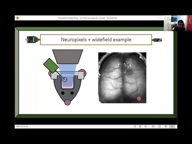 2021 Lecture 3.5 - Combining Neuropixels with imaging - Andrew Peters (UCL)