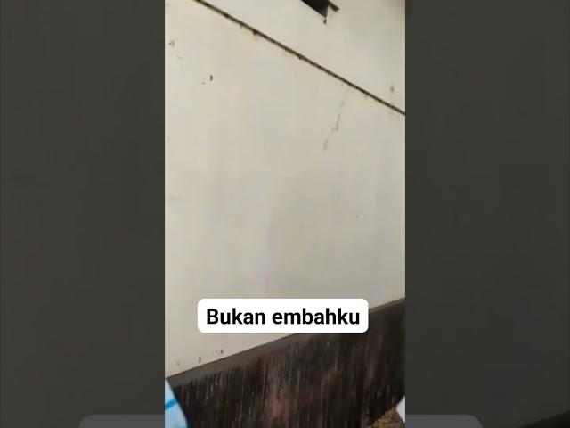 kakek kakek kepergok berduan di rumah kosong bareng wanita