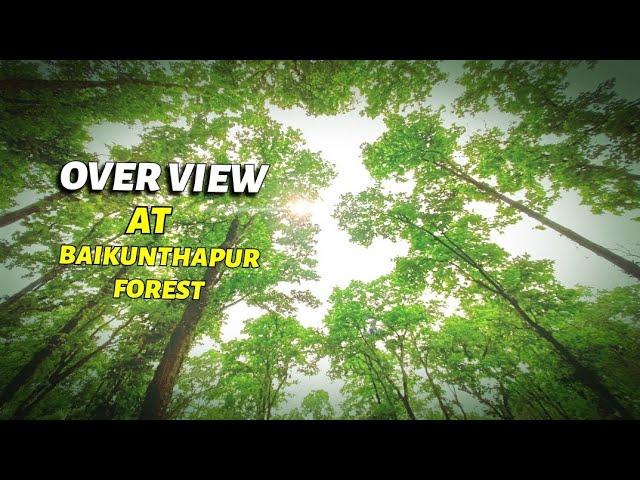 EXPLORE FAFRI FOREST SILIGURI - NATURE VIEW -  BAIKUNTHAPUR FOREST