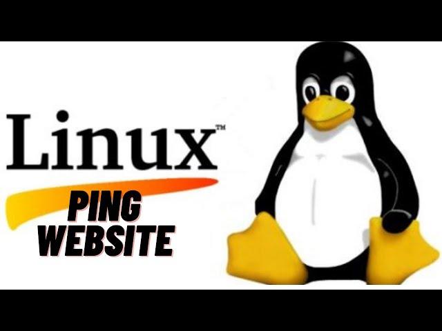 How to ping any website in Linux