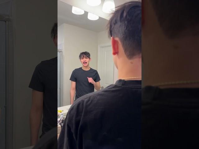Twin mirror 