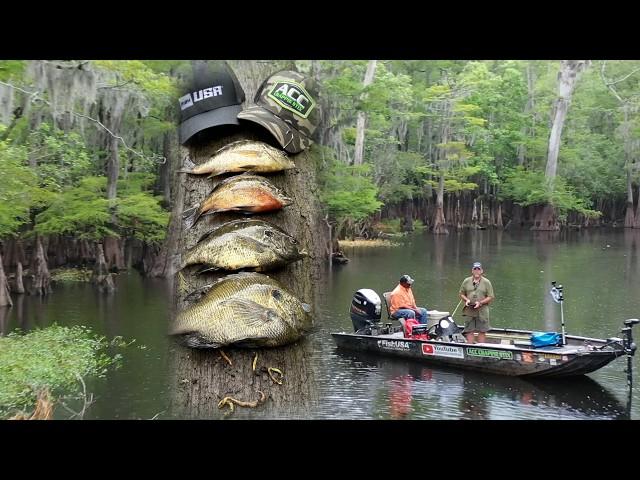 "Challenging Low Water River Fishing for Shellcracker & Bream: Worms & Crickets on Fire!"