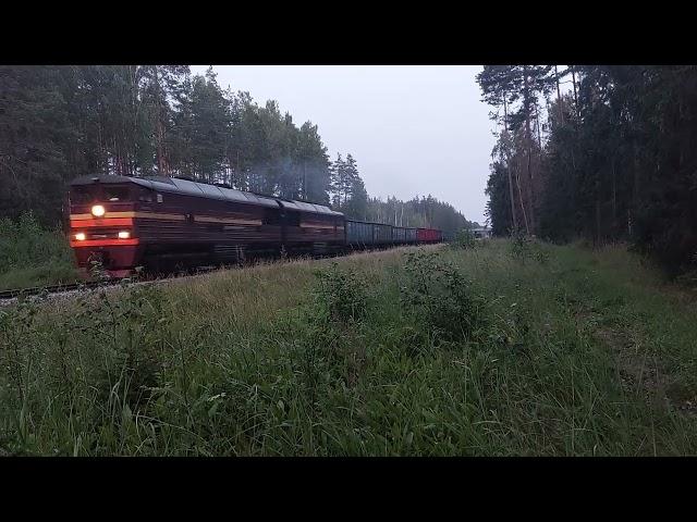 2TE116-662 (LDZ Cargo) with coal wagons going towards Krustpils