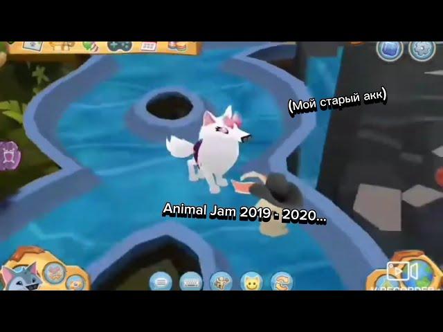 Ностальгия (Типо Эдит) Старый джем🫶 Animal Jam / Энимал джем