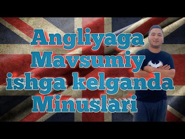 Angliyaga Mavsumiy ishga kelganda Minusi va ish qanaqa