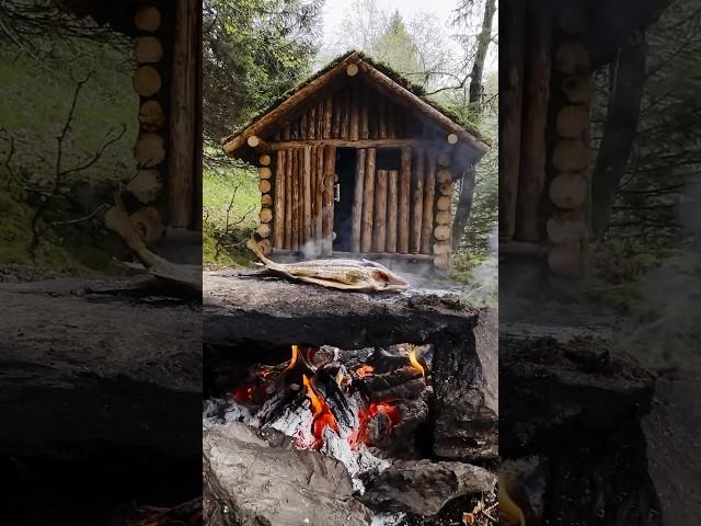 Building a Log Cabin part 14/15 #survival #fishing  #bushcraft #outdoors