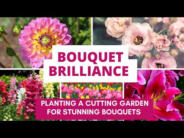 Bouquet Brilliance: Planting a Cutting Garden for Stunning Bouquets