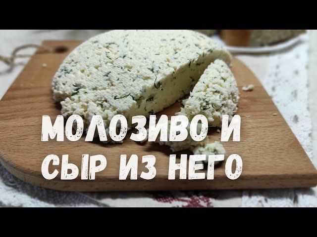 РЕЦЕПТ из МОЛОЗИВО, ВАРЮ ТВОРОГ И ГОТОВЛЮ СЫР! Рецепты  из Удмуртии