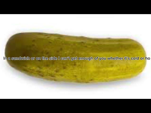 super pickle {into the pickle verse] official lyric video