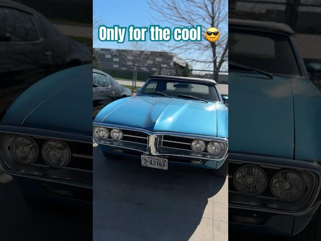Paradise on Earth is HERE at Muscle Car Concepts