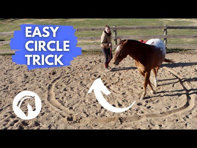 Liberty Trick Training: Teach Your Horse To Circle