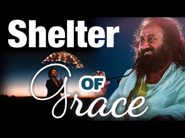 Under Shelter of His Grace | Guru Story by Sharmila didi #ArtOfLiving @gurudev