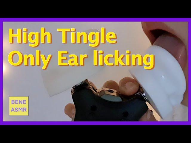 [ONLY Ear Licking] slow to fast ear licking / High Tingles / No Talking ASMR