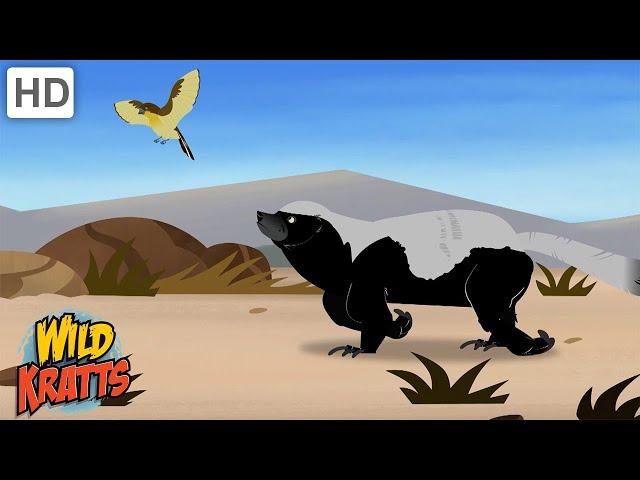 Amazing Adaptations Part 1-10 | How Animals Survive in the Wild | Wild Kratts