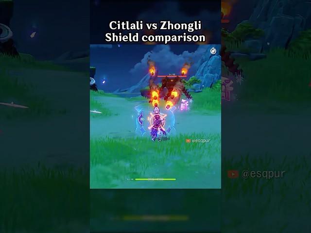 CITLALI VS ZHONGLI SHIELD COMPARISON