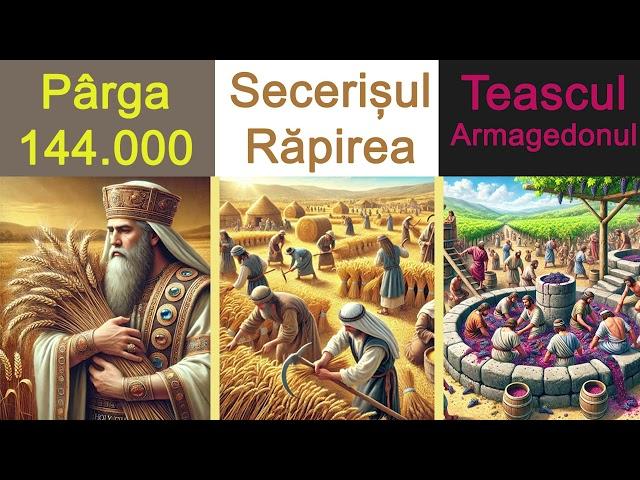 Plugarul a ajuns pe secerător: Ferice de acum încolo! Apocalipsa 14 - Lecturare Carte