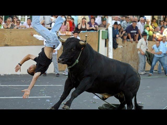 Dangerous Bull Fight Accidents Compilation 2018 - Bullfighting Festival