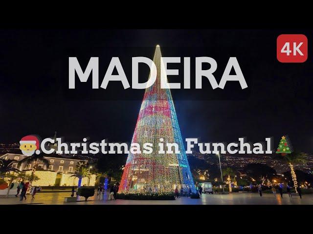  Christmas Night Walk in Funchal, Madeira: From Lido to City Center | 4K Walking Tour