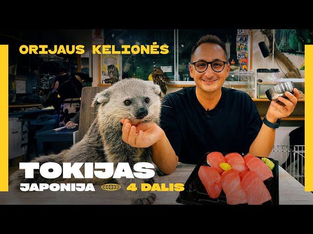 Orijaus kelionės. 6 sezonas, 11 laida. Tokijas (Japonija), 4 dalis – turgus ir egzotiniai gyvūnai