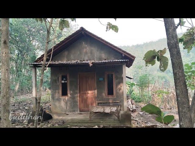  Full No Sensor ... Lecek   Nunging Di Rumah Tengah Hutan jati  Bikin lemes 