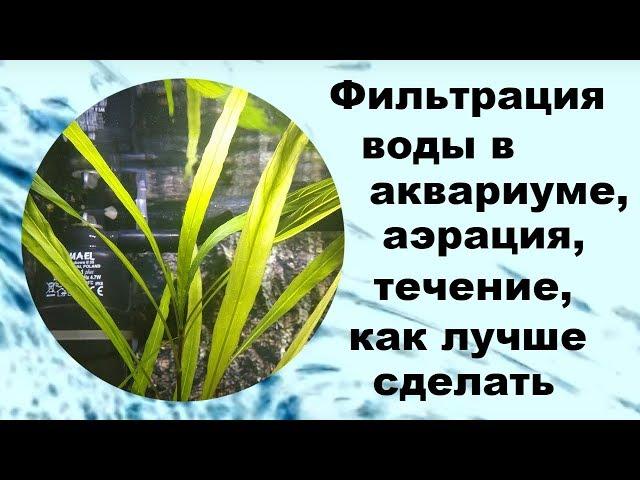 Фильтрация воды в аквариуме, аэрация, перемешивание, течение, как лучше сделать.