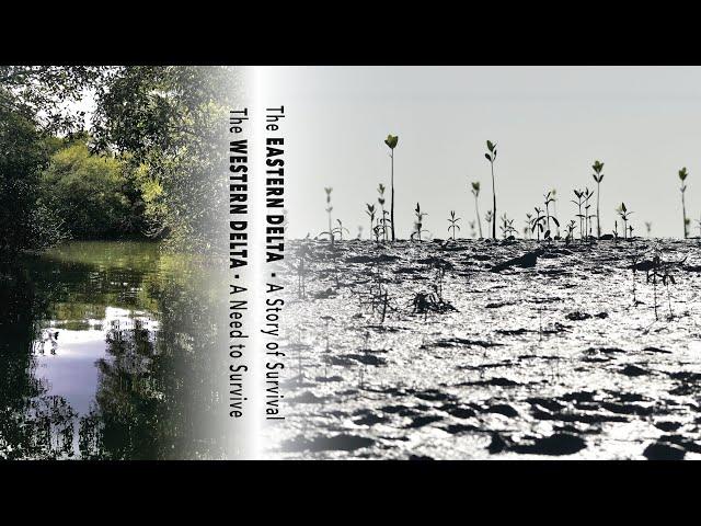 INDUS RIVER DELTA - West Delta / East Delta