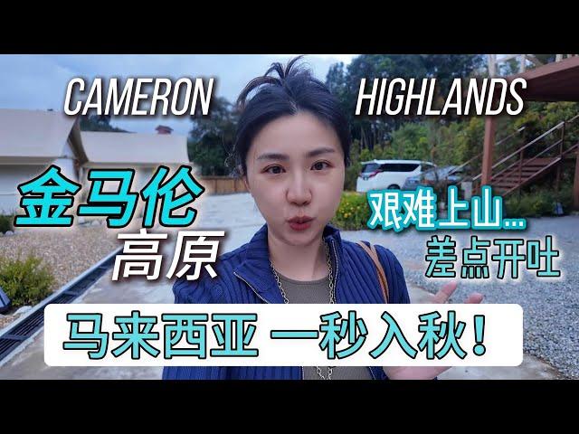 Cameron Highlands在大马穿毛衣？自驾金马伦高原避暑 | 盘山公路惊险又美 | 禅意度假酒店+高原火锅体验