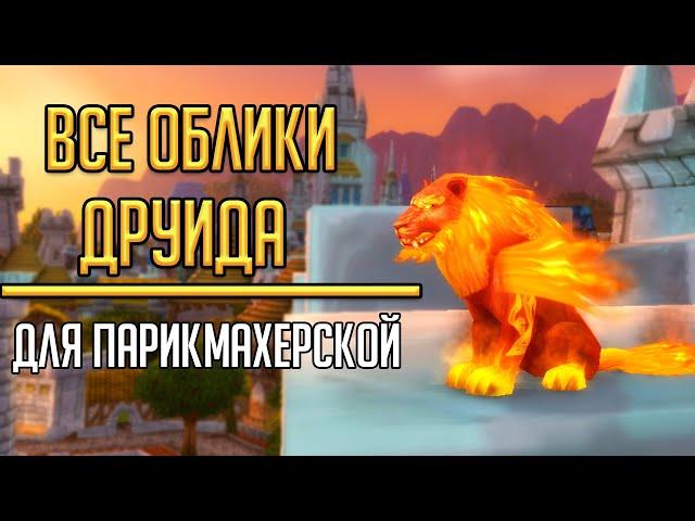 ПОЛУЧЕНИЕ ВСЕХ ОБЛИКОВ в парикмахерскую для друида в World of Warcraft! Кастомизация обликов друида