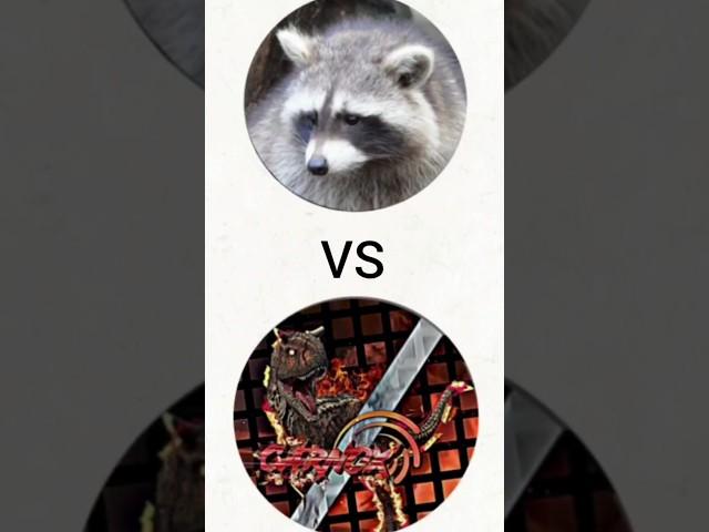 RenaxtheRaccoon vs Carnox Who Win