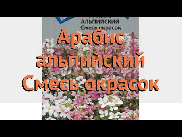 Арабис альпийский Смесь окрасок (smes-okrasok)  обзор: как сажать, семена арабиса Смесь окрасок