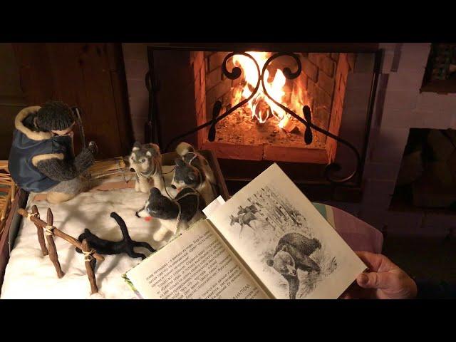 «Как медведь сам себя напугал» и «Почему ноябрь пегий?» Н.Сладков. Читаем детям.